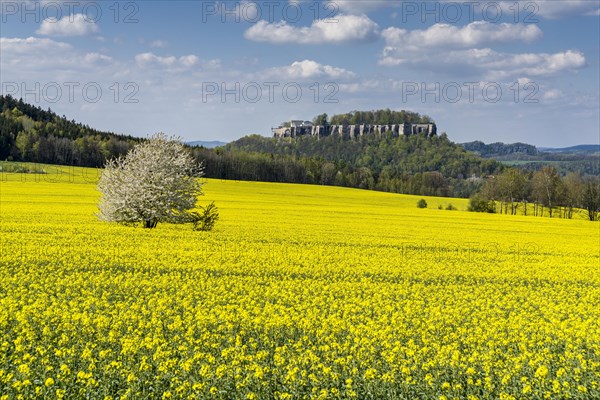 Agricultural landscape