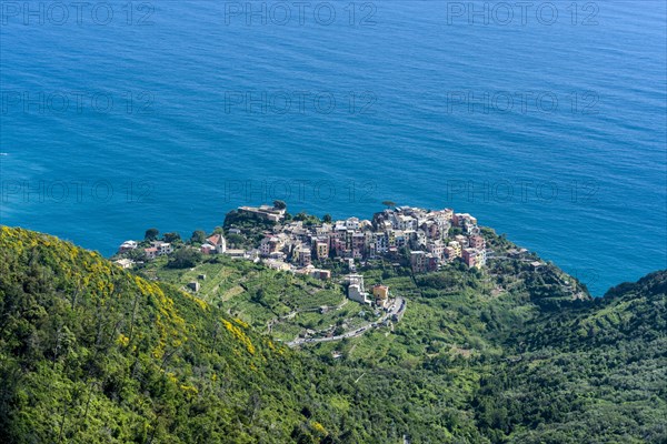 Corniglia