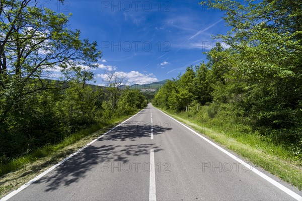 Typical Tuscany landscape with hills and trees