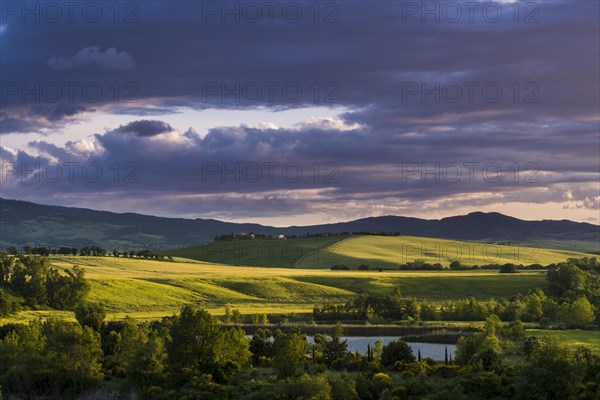 Typical green Tuscan landscape in Val d'Orcia with hills