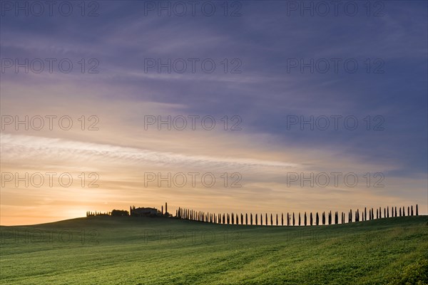 Typical green Tuscan landscape in Bagno Vignoni