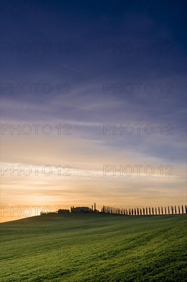 Typical green Tuscan landscape in Bagno Vignoni