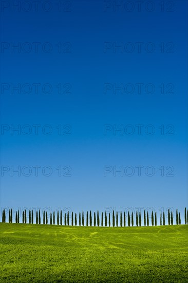 Typical green Tuscan landscape in Bagno Vignoni