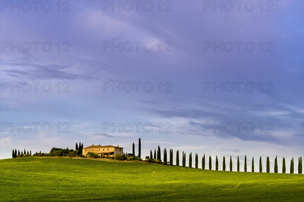 Typical green Tuscan landscape in Bagno Vignoni