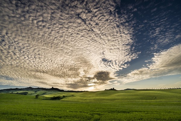 Typical green Tuscan landscape in Bagno Vignoni