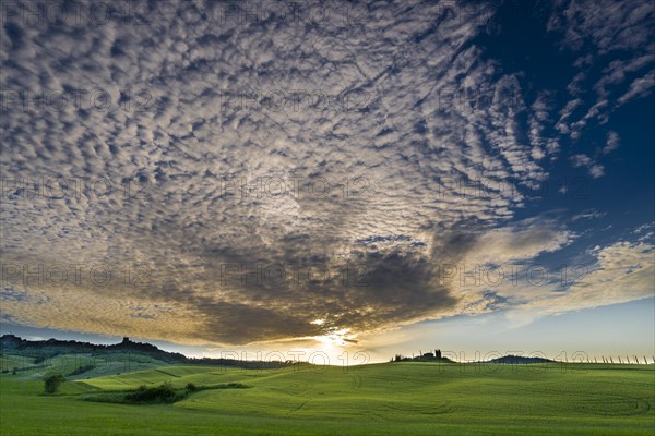 Typical green Tuscan landscape in Bagno Vignoni