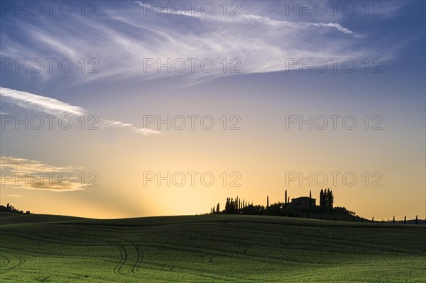 Typical green Tuscan landscape in Bagno Vignoni