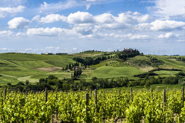 Typical green Tuscany landscape with a farm on a hill