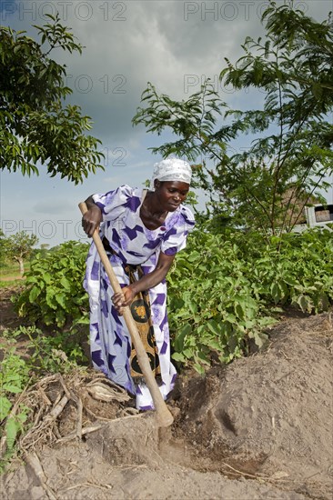 Woman using hoe