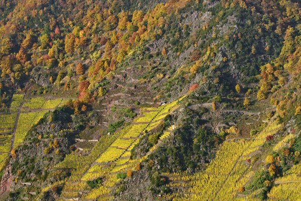 View of steep slopes of Calmont