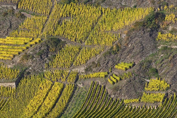 View of steep slopes at Calmont