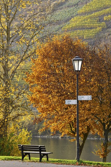 Autumn mood at River Moselle