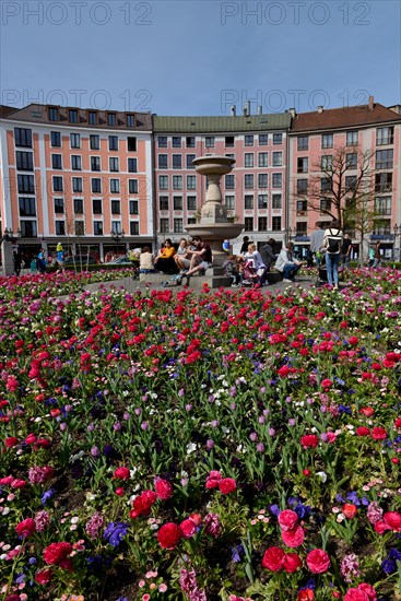 Flowerbeds at Gartnerplatz