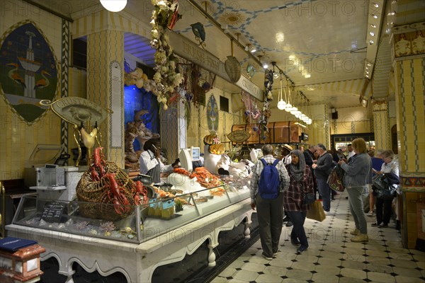 Display with sea animals