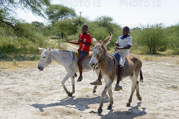 Two boys riding on donkeys