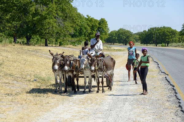 Donkey cart