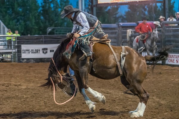 Cowboy riding a bucking horse