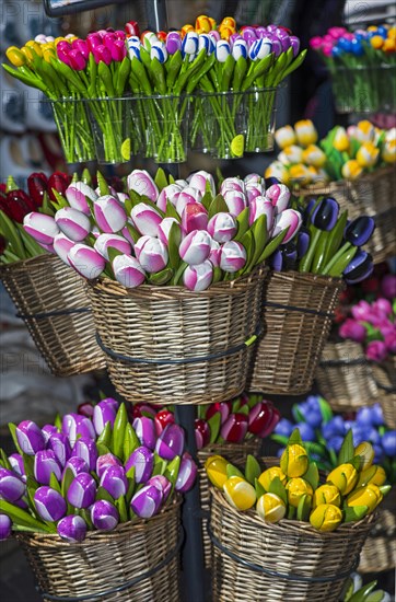 Souvenir wooden tulips