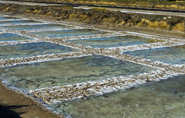 Sea salt extraction