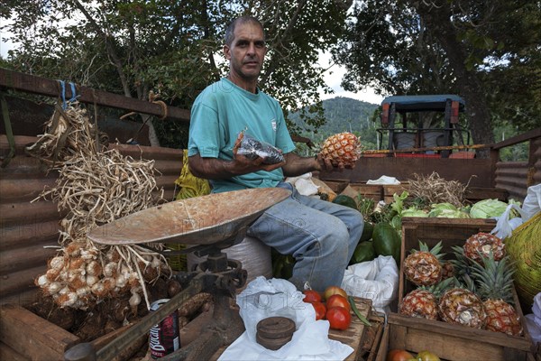 Fruit seller