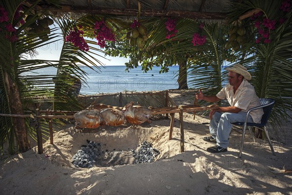 Cuban man grilling turkeys and suckling pig at the beach of Playa Ancon