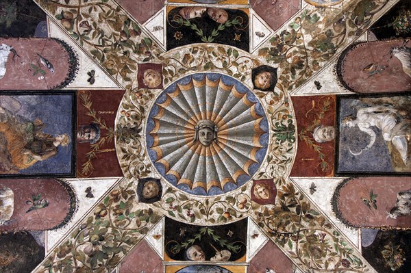 Ceiling fresco in Palazzo Chigi-Saracini