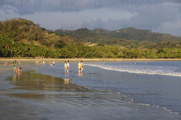 Tourists at the sea with palm beach