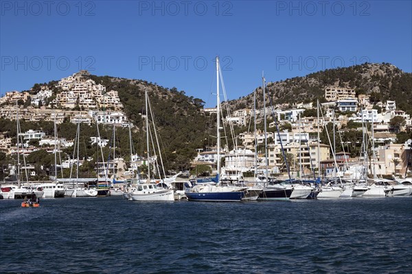 Yachts in the marina