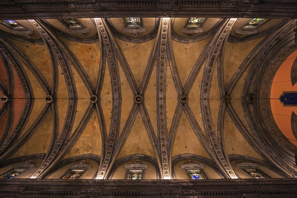 Vaulted ceiling