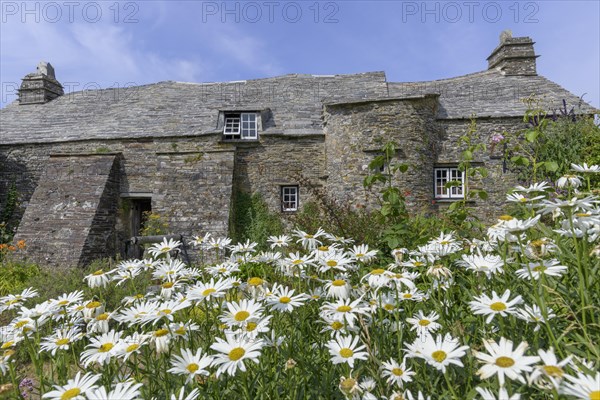 600 years old house