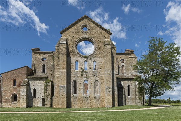 Ruins of former Cistercian Abbey of San Galgano