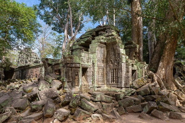 Ancient remains of Ta Prohm temple