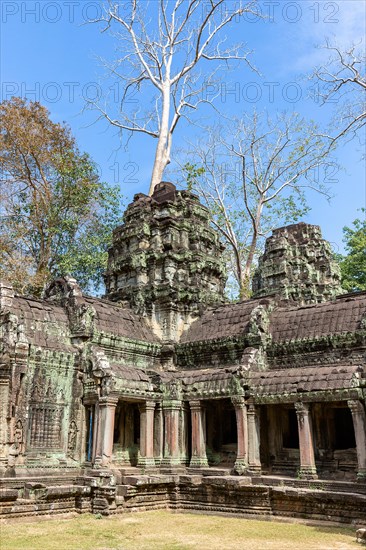 Ancient remains of Ta Prohm temple