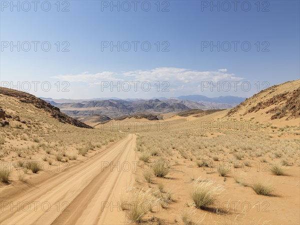 Sand track in the Hartmann Ridge