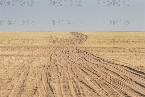 Sand track in the Hartmann valley