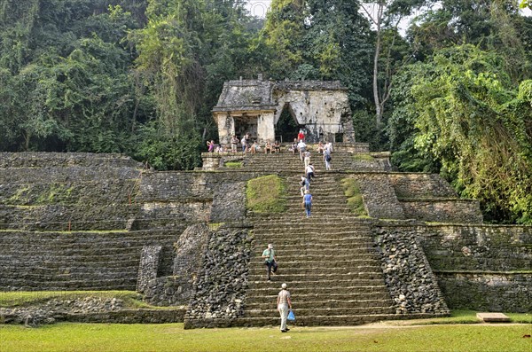 Skull temple