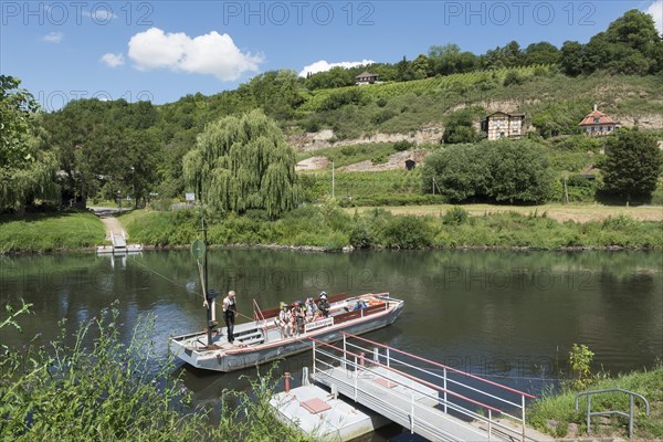 Traditional reaction ferry on the river Saale