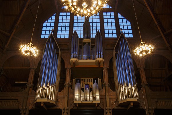 Organ