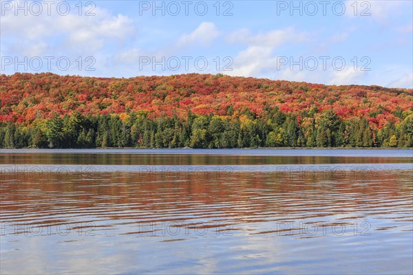 Canisbay Lake in Autumn