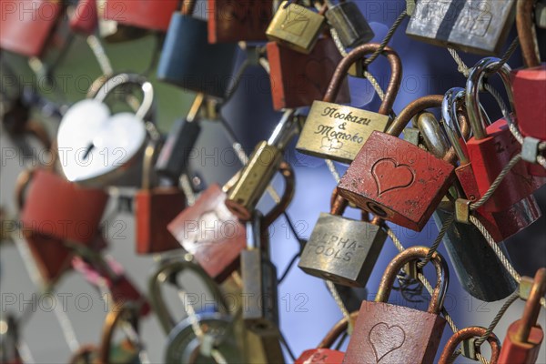 Love padlocks with heart