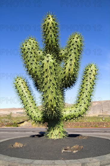 Giant green cactus sculpture