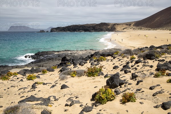 Sandy beach Playa de las Conchas