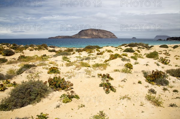 View on Montana Clara island