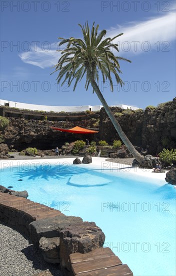 Tropical garden with swimming pool