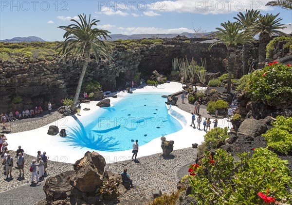 Tropical garden with swimming pool