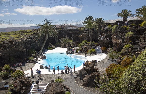 Tropical garden with swimming pool