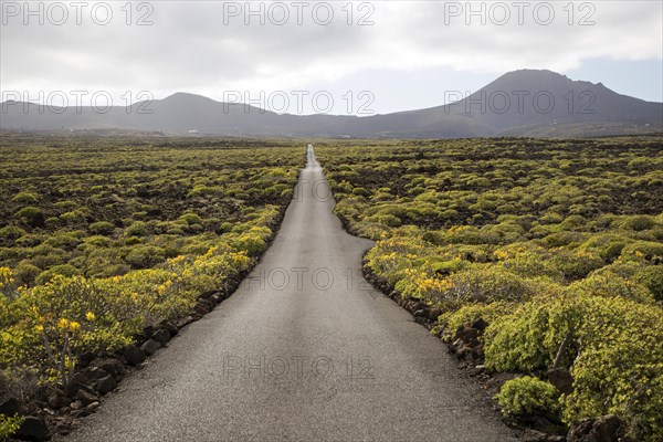 Straight sealed tarmac road crossing lava flows