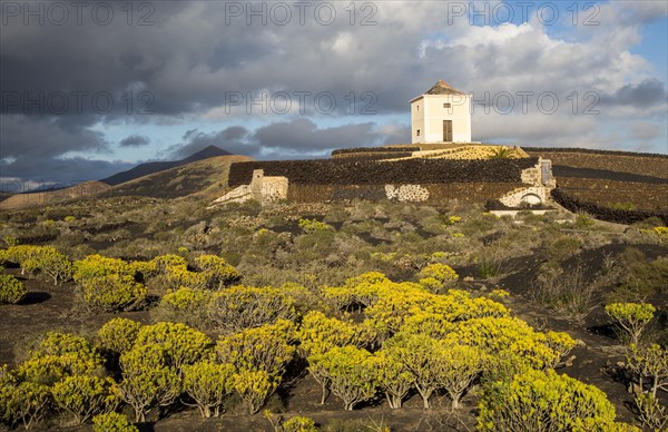 Molino Viejo