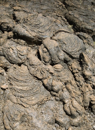 Solidified pahoehoe or ropey lava field