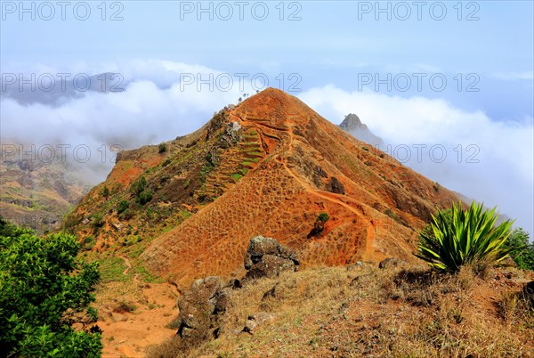 Terraced mountains